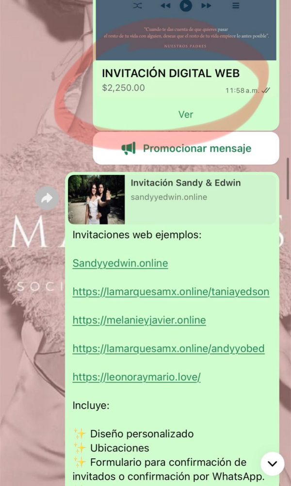 Curso Completo: Diseña, Vende y Consigue Clientes – Invitaciones Digitales desde Casa - Imagen 4